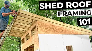 DIY Shed Roof Framing How to Build a Shed Roof Make Birdsmouth Cuts and Install Plywood Decking [upl. by Nwahsel]