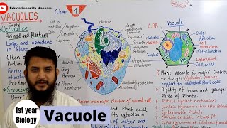 Vacuoles  Vacuoles structure and function  Class 11 [upl. by Marchal]