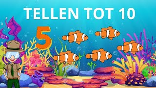 Leren Tellen Nederlands ☆ Van 1 tot 10 Leren Tellen ☆ Cijfers Leren Voor Peuters En Kleuters ☆ [upl. by Zemaj]