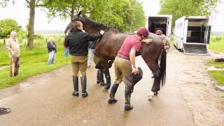 The Household Cavalry on Holkham Beach [upl. by Eidnam]