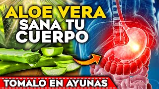 BEBE un JUGO DE SABILA o ALOE VERA en AYUNAS y MIRA que OCURRE en tu CUERPO  Agua de Sabila [upl. by Trah]