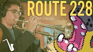 Pokémon Diamond amp Pearl Route 228 Jazz Arrangement  insaneintherainmusic Sinnoh Fusion Ensemble [upl. by Yremrej788]