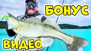 БОНУС видео ДЖИГ Риболов на язовир Искър 🎣 [upl. by Mcneil]