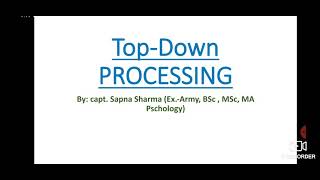 Topdown Processing [upl. by Aikrehs]