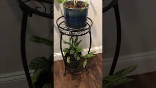 HONEST Review of TwoTier Decorative Plant Stand Is It Worth It [upl. by Notniuq]