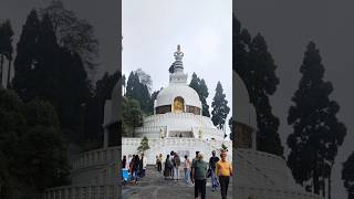 Peace pagoda darjeeling peacepagoda darjeelingdiaries travel explore buddhism pagodas [upl. by Nrubua]