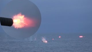 CIWS Gatling Gun amp Mk38 Chain Gun Open Fire On Target Boats [upl. by Kerred136]