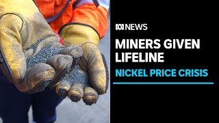 With mines closing and FIFO jobs lost WA throws a lifeline to nickel miners  ABC News [upl. by Ericka]