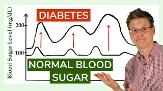 Regulation of Blood Sugar [upl. by Cony]