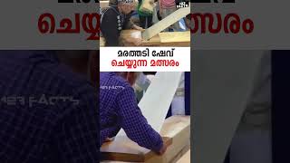 മരത്തടി ഷേവ് ചെയ്യുന്ന മത്സരം  Wood Shavings Competition woodworking japan [upl. by Lenzi]