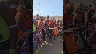 Turkana Wedding Danceshortsfeed africa traditionaldance [upl. by Amehsat]