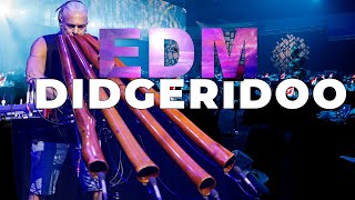 Fastest didgeridoo player 🌍 EMDEE 4K [upl. by Ttennaej]