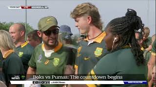 Springboks take on Argentina for Rugby Championship title [upl. by Lednam]