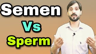 Difference Between Semen and Sperm [upl. by Gorden409]