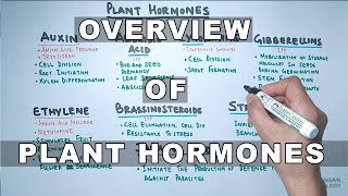 Plant Hormones  Types and Functions [upl. by Karlik]