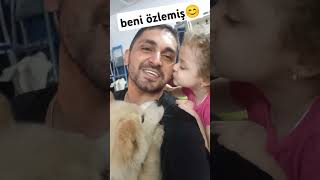 kopekler kopek köpek köpekler köpekyavrusu shorts short viralvideo viralvideos video [upl. by Ahseiyn959]