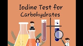 Iodine Test for Carbohydrates Biochemistry practicals for 1st Year MBBS [upl. by Yellhsa]