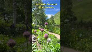 Jardin du Lautaret Explore the Alpine Garden of Wonders travel virtualwalktour virtualwalk [upl. by Jonie]