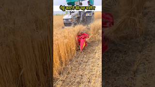 गेहूं निकालने की सबसे अच्छी मशीन❓ Best wheat threshing machine [upl. by Neidhardt]