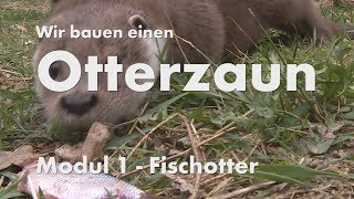 Otterzaun Modul 1 Fischotter [upl. by Nwahsek]