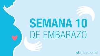 Semana 10 de embarazo  10 semanas de embarazo  El embarazo semana a semana [upl. by Minette751]