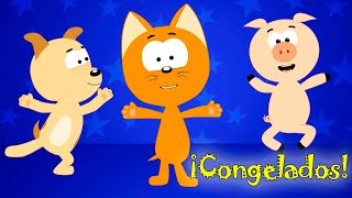 ¡Congelados Aprende a Bailar y Disfrutar con Koté  Canciones infantiles  El gatito Koté [upl. by Amery]