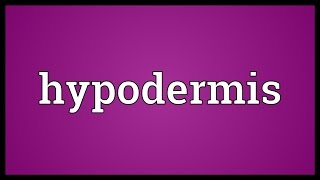 Hypodermis Meaning [upl. by Ot]