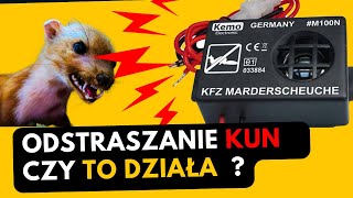 🟨 Akustyczne Odstraszanie KUNY 🟪 Czy to działa  🟧 Jak odstraszyć tego gryzonia [upl. by Maharba191]