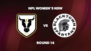 NPL Womens NSW Round 14 Bulls FC Academy v Blacktown Spartans FC [upl. by Aihcrop]