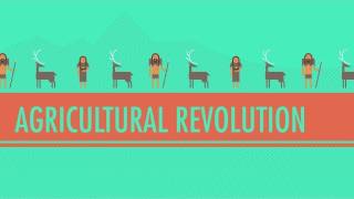 The Agricultural Revolution Crash Course World History 1 [upl. by Ecadnarb]