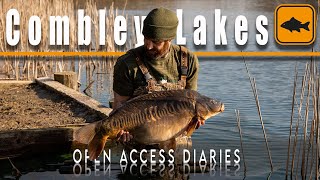 Combley Lake Open Access Diaries Episode 3  Simon Dew  Carp Fishing [upl. by Ferris]