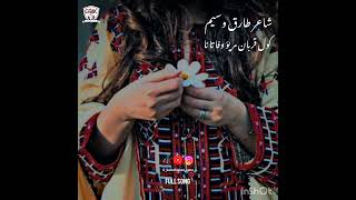 Benis ay zalema dunya pawa  Tariq waseem song [upl. by Aisylla286]