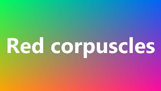 Red corpuscles  Medical Meaning and Pronunciation [upl. by Madelin]