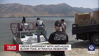 After algal blooms return crews experiment with mitigation tool [upl. by Fuchs]