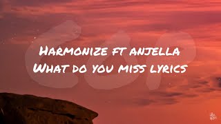 Harmonize ft anjella  what do you miss Lyrics [upl. by Reamy]