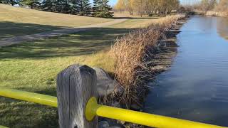 Beautiful city tour of Lloydminster City in Alberta [upl. by Couture]