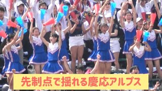 準決勝 2回裏先制点で盛り上がる慶応アルプス [upl. by Eniad]