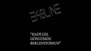 Hadi Gel Gönlümde Bekleniyorsun  Ekoline [upl. by Marchese]