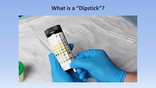 Interpretation of the Urinalysis Part 2  The Dipstick [upl. by Gisele]