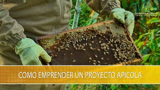 Como Emprender un Proyecto Apicola  TvAgro por Juan Gonzalo Angel Restrepo [upl. by Dunson]