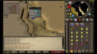 OSRS Quest  Monkey Madness 2  Hunting down Kruk [upl. by Kcirrag]