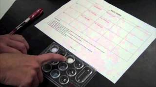 Forming Ionic Compounds Lab [upl. by Ylellan]