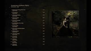 Evanescence Synthesis Remix Full Album [upl. by Nnaer237]