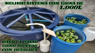 MELHOR SISTEMA COM CAIXA DE 1000L PARA CRIAÃ‡ÃƒO DE PEIXE PASSOAPASSO COMO FAZER [upl. by Riccio683]