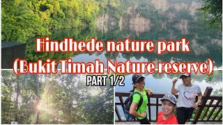 Hindhede Nature Park  BTNP  Singapore 🇸🇬 [upl. by Yelekreb]