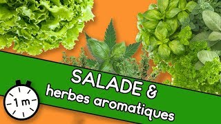 Salade amp herbes aromatiques  Astuce YouCook [upl. by Svirad]