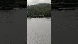 Ketchikan Alaska historybuff travel ketchikan [upl. by Nivk]