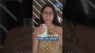 Is Your Milk Adulterated shorts food foodsafety [upl. by Shaina]