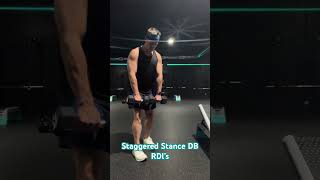 Staggered Stance Romanian Deadlifts [upl. by Augusto]