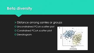 E組 A practical guide to amplicon and metagenomic analysis of microbiome data [upl. by Inalaek46]